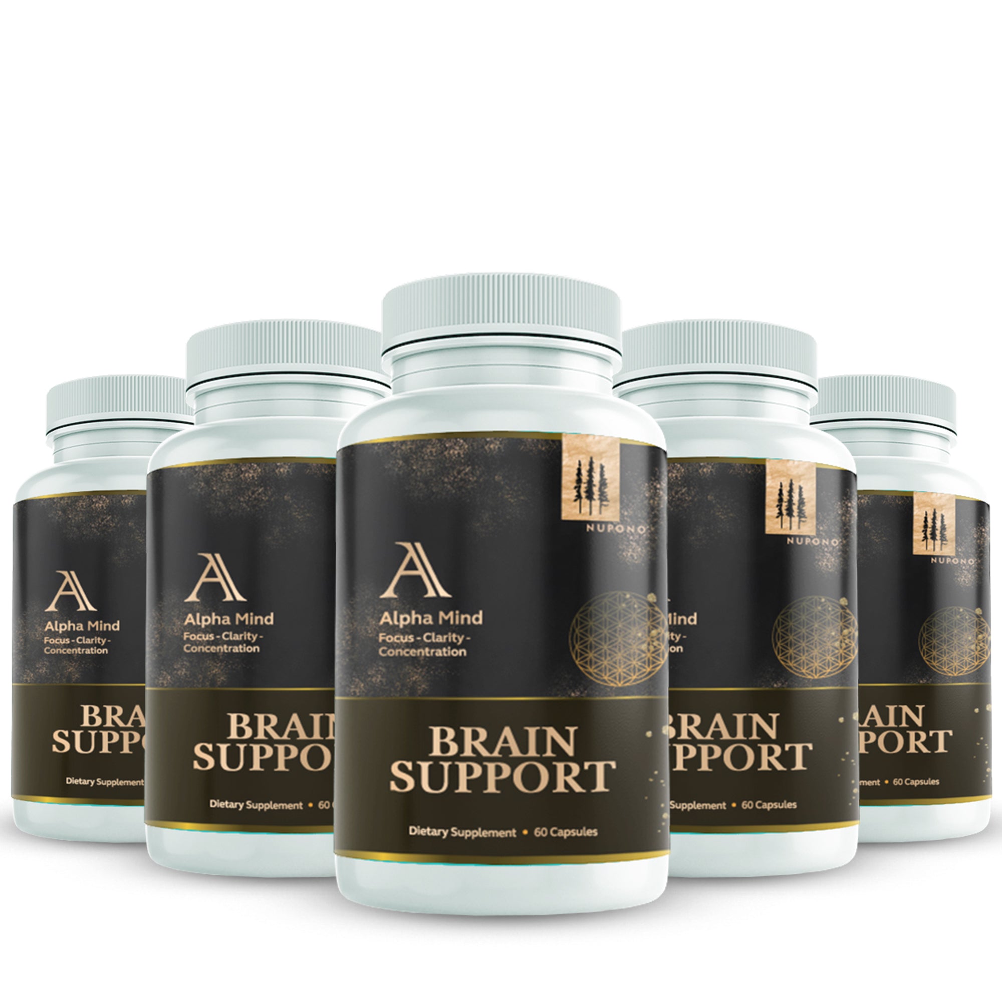 Super Brain Support, Supports Memory & Focus, Premium Nootropic Supplement 60 Capsules, St. John's Wort, Glutamine, Bacopa Monnieri, Ginkgo Biloba