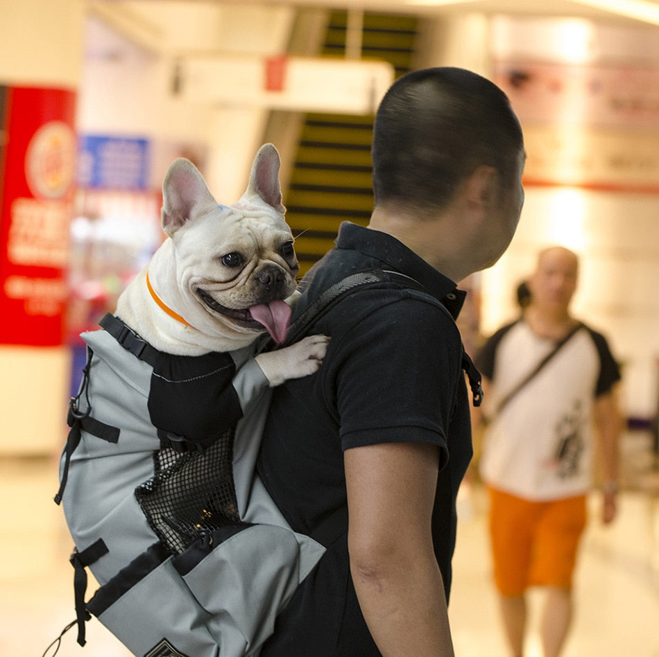 Breathable Pet Dog Carrier Bag for Large Dogs Golden Retriever Bulldog Backpack Adjustable Big Dog Travel Bags Pets Products