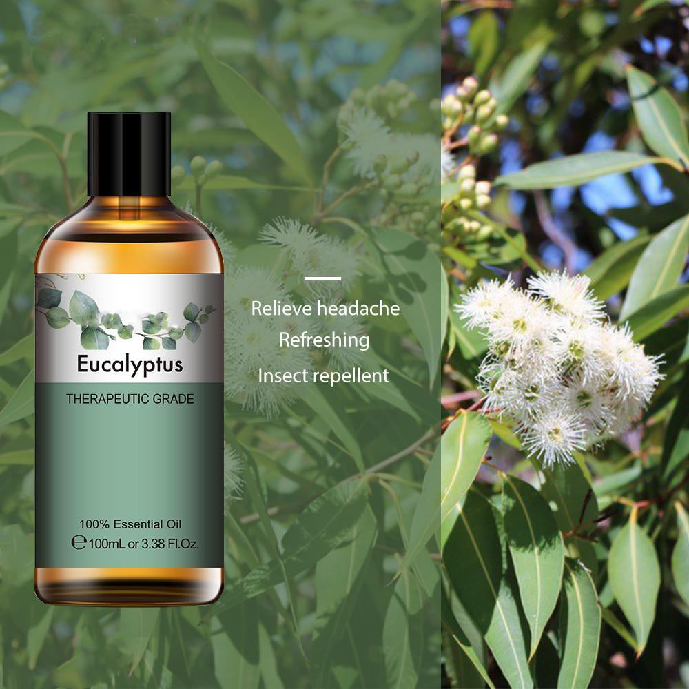 100ml Mint Eucalyptus Essential Oil Diffuser Pure Natural Essential Oils Lavender Vanilla Sandalwood Chamomile Lemon Tea Tree
