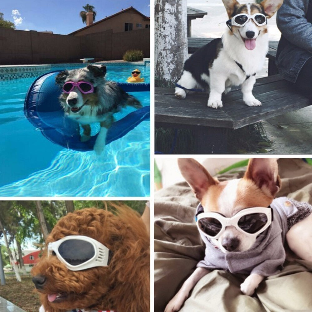 5 Colors Cute Pet Dog Sunglass Sun Glasses Pet Cat Goggles Eye Wear Puppy Eye Protection Pet Grooming Accessories Pet Decoration|pet grooming accessories|dog sunglassespet glasses