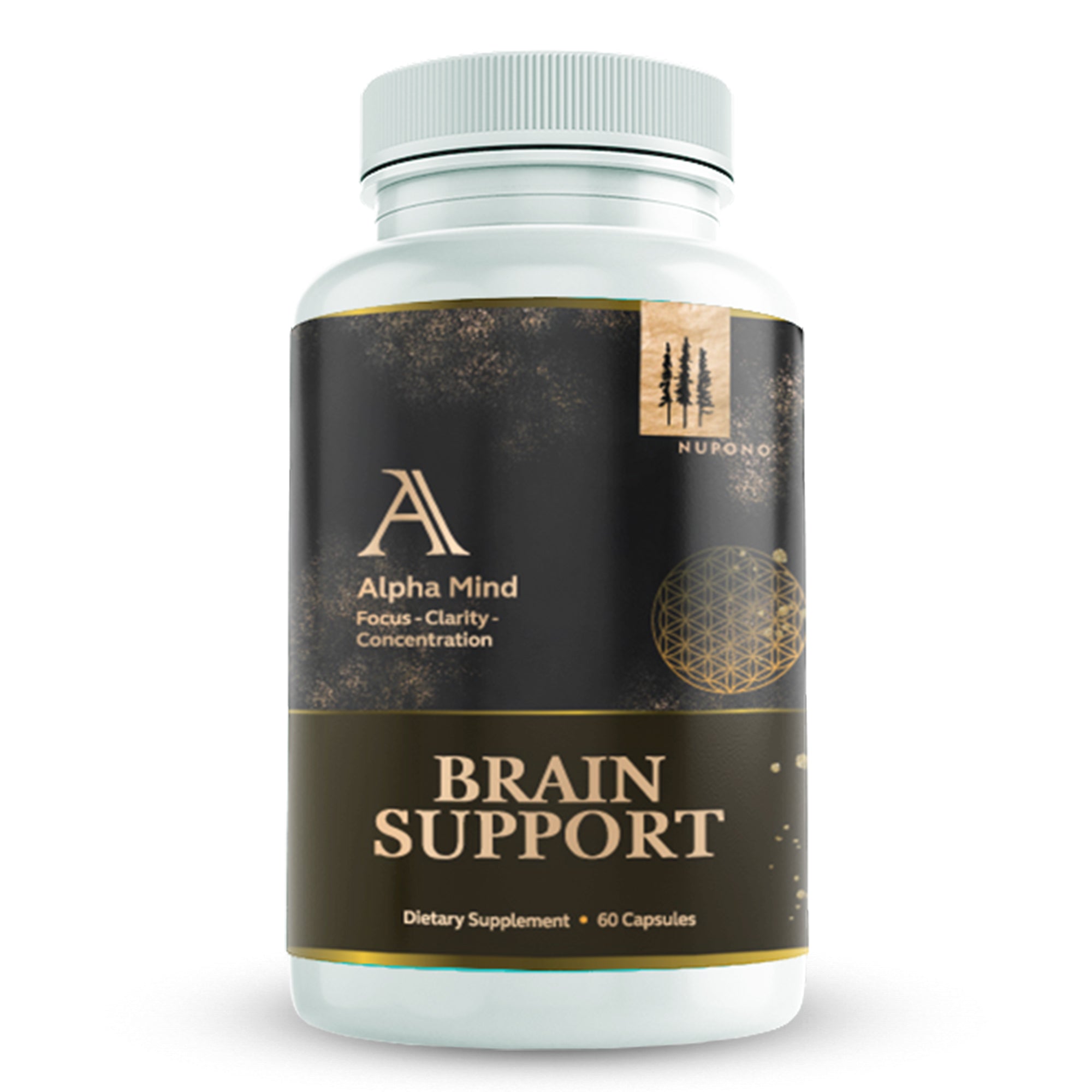 Super Brain Support, Supports Memory & Focus, Premium Nootropic Supplement 60 Capsules, St. John's Wort, Glutamine, Bacopa Monnieri, Ginkgo Biloba